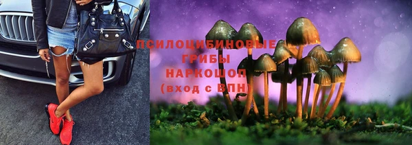 мдма Гусев